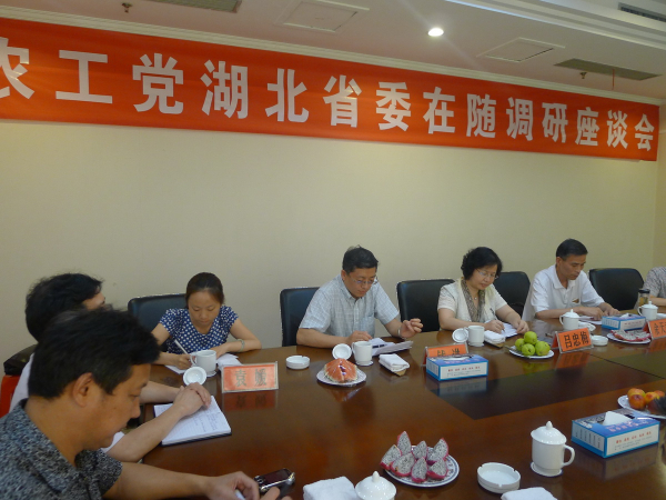 2013年6月农工党湖北省委在随州调研座谈.JPG
